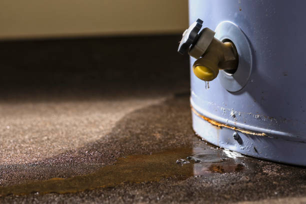 Best Mold removal after water damage  in Garland, UT