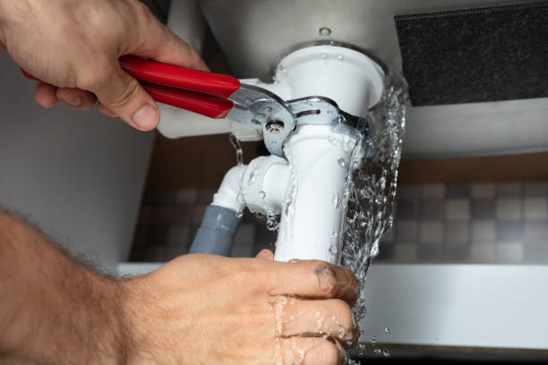Best Local water damage restoration  in Garland, UT