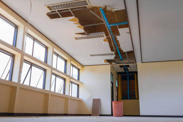 Best Water damage restoration specialists  in Garland, UT
