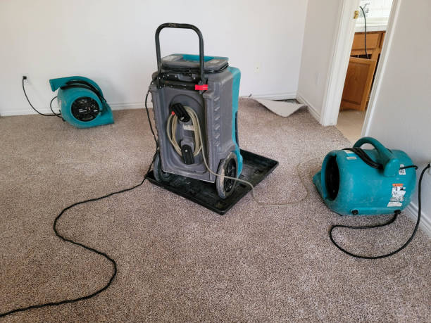 Best Emergency water damage restoration  in Garland, UT
