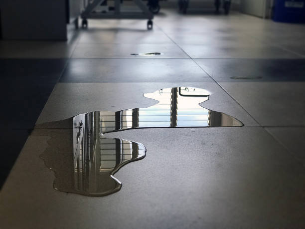 Carpet water damage restoration in Garland, UT