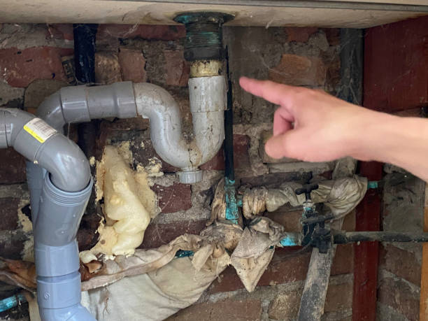 Best Water damage contractors near me  in Garland, UT