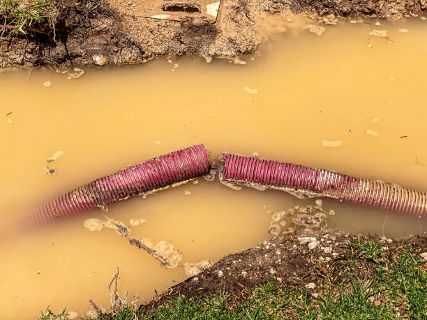 Best Professional water damage repair  in Garland, UT