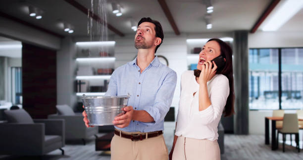 Best Water damage restoration near me  in Garland, UT