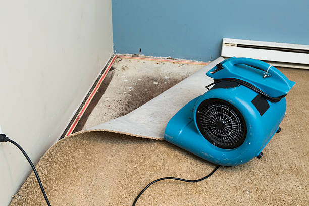  Garland, UT Water damage restoration Pros