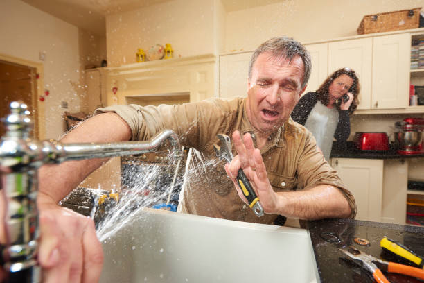 Best Water damage cleanup near me  in Garland, UT